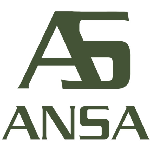 Ansa fashion